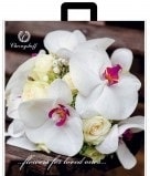 white-orchids-40-42-min.jpeg