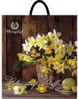daffodils-white-40-42-min.jpeg