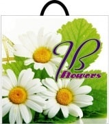 flowers-chamomiles-50-50-min.jpeg