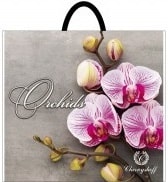 orchids-rozovaya-34-38-min.jpeg