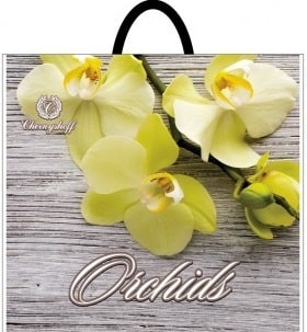 orchids-34-38-min.jpeg
