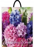 hyacinths-40-42-min.jpeg