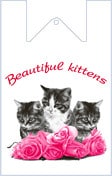 Beautiful kittens ru