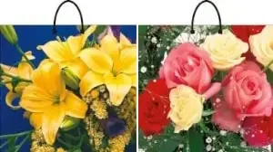 пакеты цветы петля с полноцветной печатью