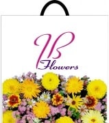 flowers-chrysanthemums-50-50-min.jpeg