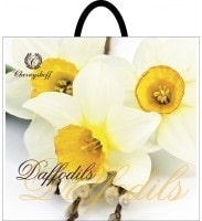 daffodils-34-38-min.jpeg